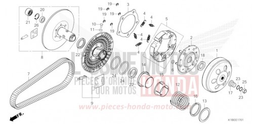 COTE MENE (NSS350A) NSS350AP de 2023